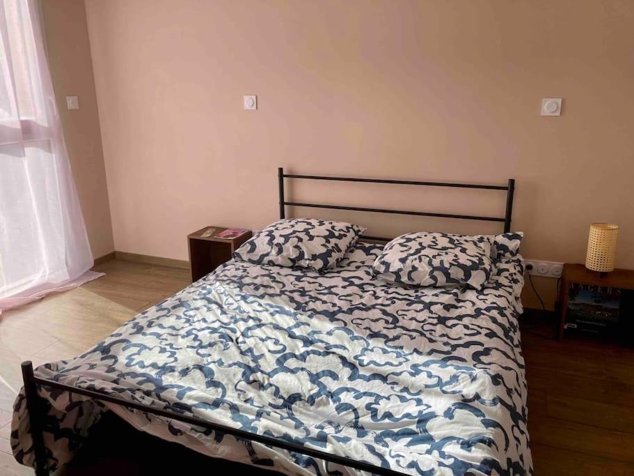 Quai Sud - Gare, 100 M2, Parking, Wifi, Superette, Lave Linge Lägenhet Angers Exteriör bild