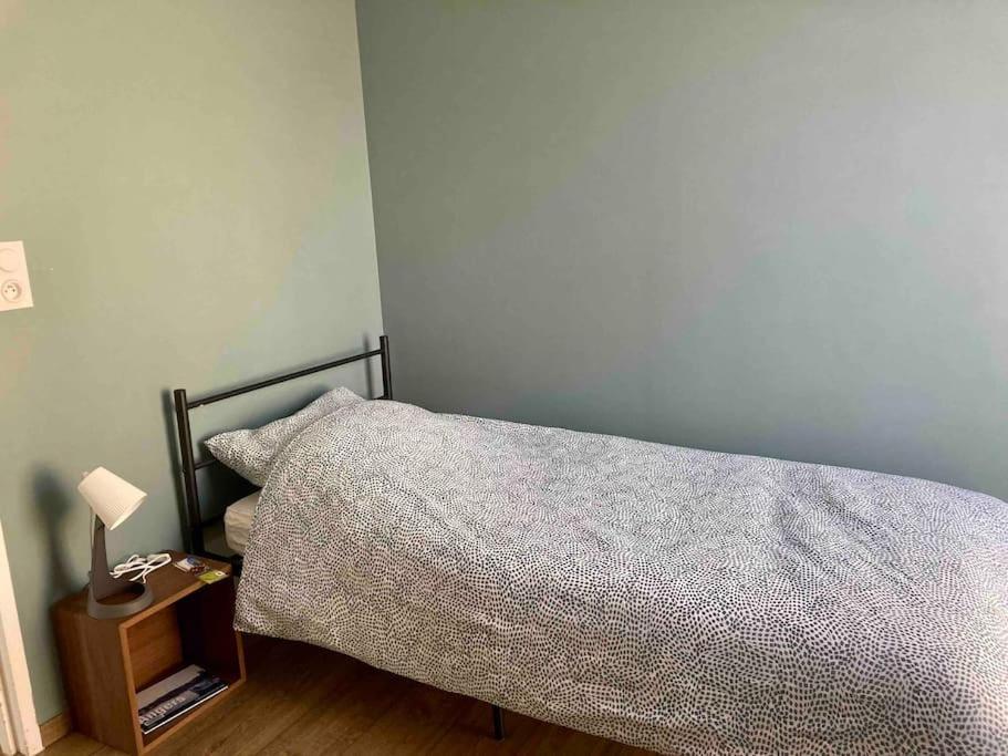 Quai Sud - Gare, 100 M2, Parking, Wifi, Superette, Lave Linge Lägenhet Angers Exteriör bild